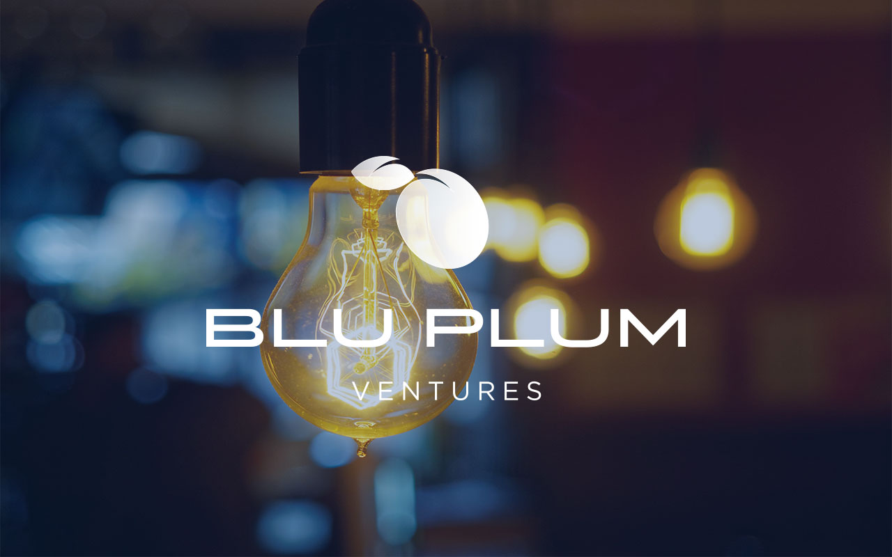 BluPlum Ventures 